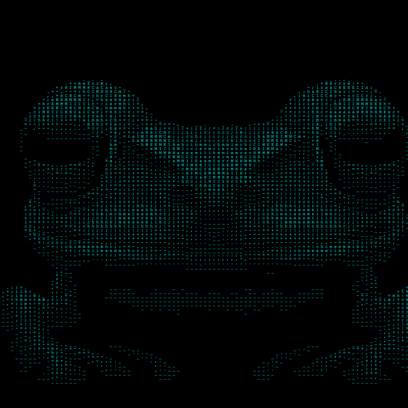 inscription 88a0193d517f4d0e675a0b5a0bd2a9c8a1bb788fc28700bbb733a58ae8f8145ei0